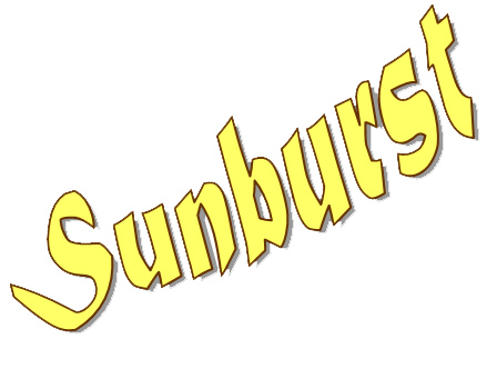 sunburst logo sunburst logo